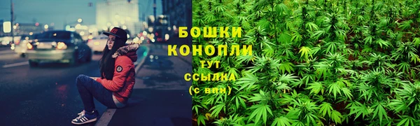 трава Алзамай