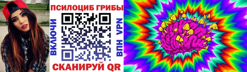 что такое   Киржач  Галлюциногенные грибы Cubensis 
