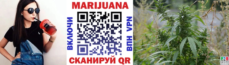 цена   Киржач  Канабис сатива 